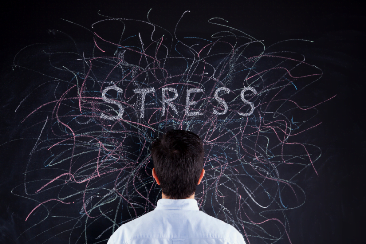 Stress Affects