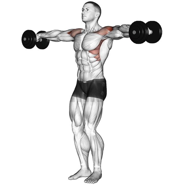 Back and Shoulder Workouts